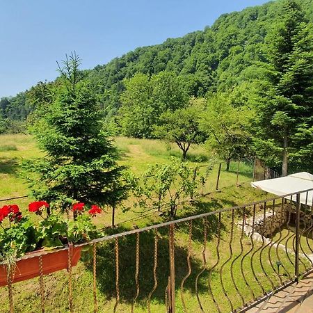 Bran 99 Villa ภายนอก รูปภาพ